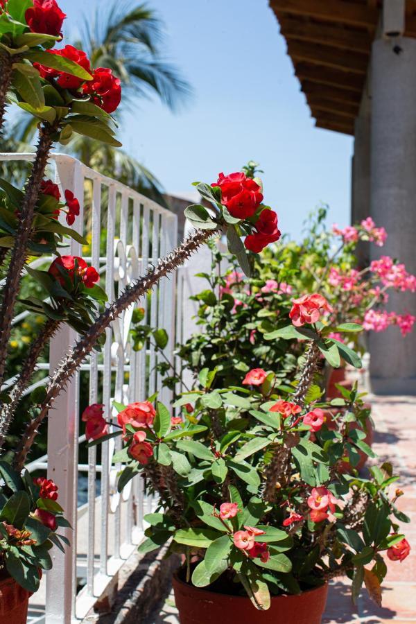 Casitas Miramar Puerto Vallarta Malecon 外观 照片